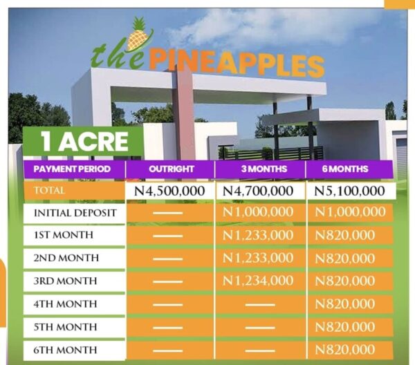 Introducing One of the Biggest Estates in the heart of Imota, Ikorodu, Lagos (from 900k per plot buy 6plots get 1 Free) - Image 3